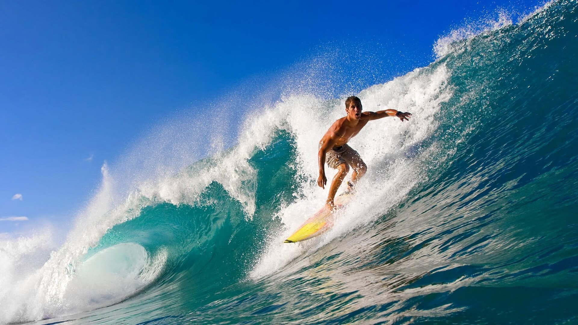 【Juan Soto的全垒打表演】教士锋线新兵天赋异禀，全垒打术语